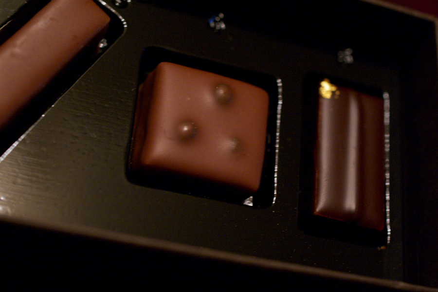 IMGP0014.jpg(262047 byte)