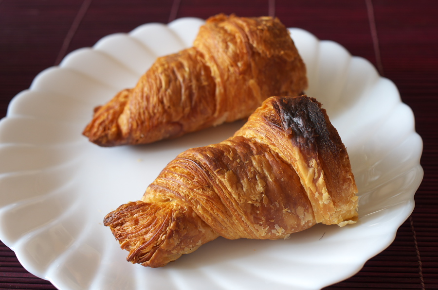 IMGP0531.jpg(239040 byte)