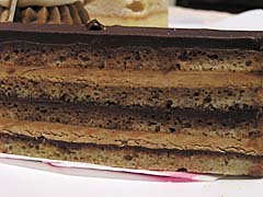 ���B�^���[��