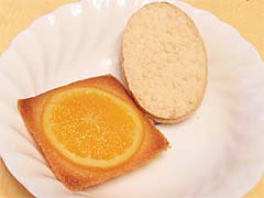 ���E�A���g����