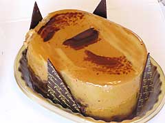 �p�e�B�V�G�@�V�}