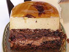 �p�e�B�V�G�@�V�}