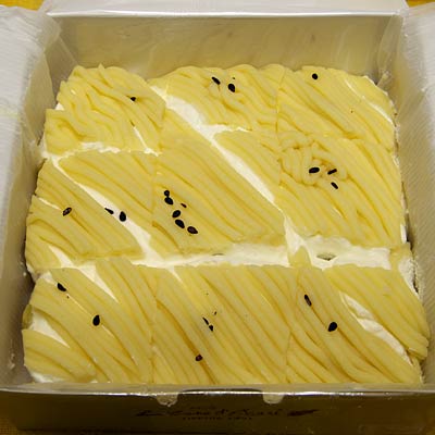 �R�[�g�_�W���[��  