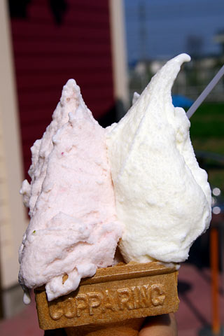 �A���e�B�W���[�m