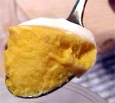 �J�{�`���v����