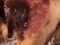 �v�����̃^���g