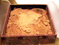 �����т���