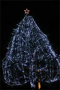 ���a�L�O����