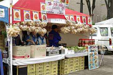 �������C 