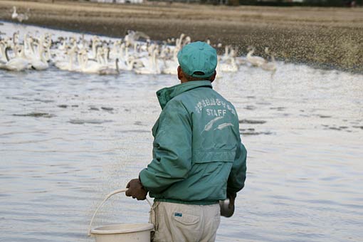 �����̋�