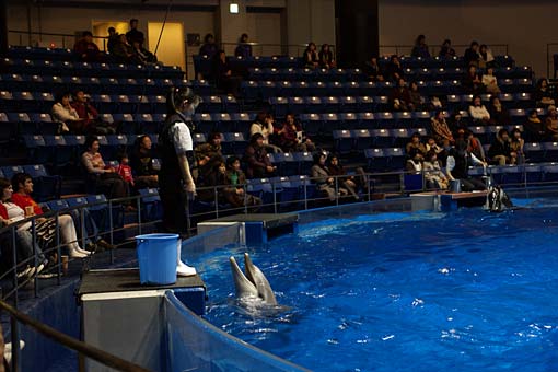 2006 EPSON AQUA STADIUM