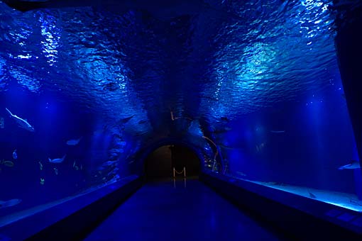 2006 EPSON AQUA STADIUM