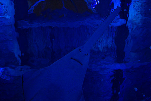 2006 EPSON AQUA STADIUM