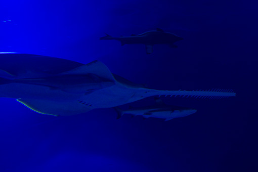 2006 EPSON AQUA STADIUM