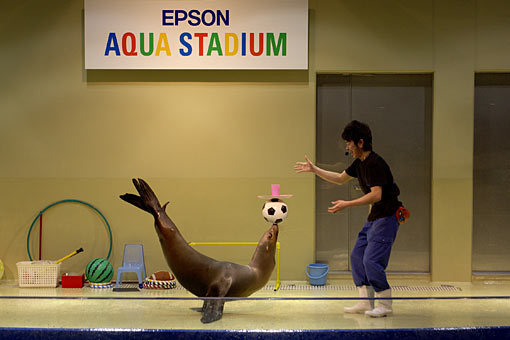 2006 EPSON AQUA STADIUM
