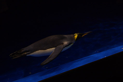 2006 EPSON AQUA STADIUM