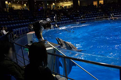 2006 EPSON AQUA STADIUM