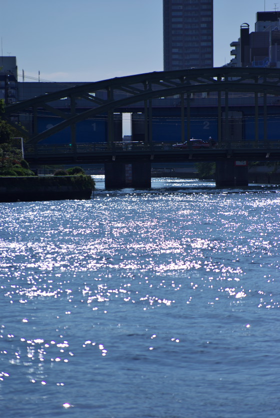 IMGP3465.jpg(155268 byte)