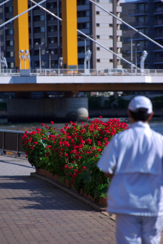 IMGP3482.jpg(121778 byte)