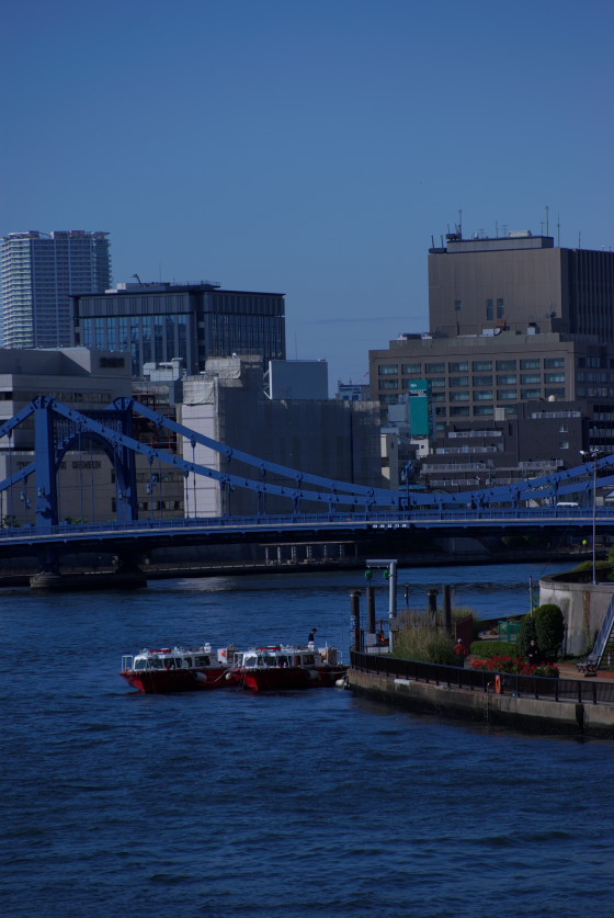 IMGP3484.jpg(102905 byte)