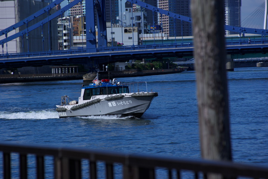 IMGP3495.jpg(156068 byte)