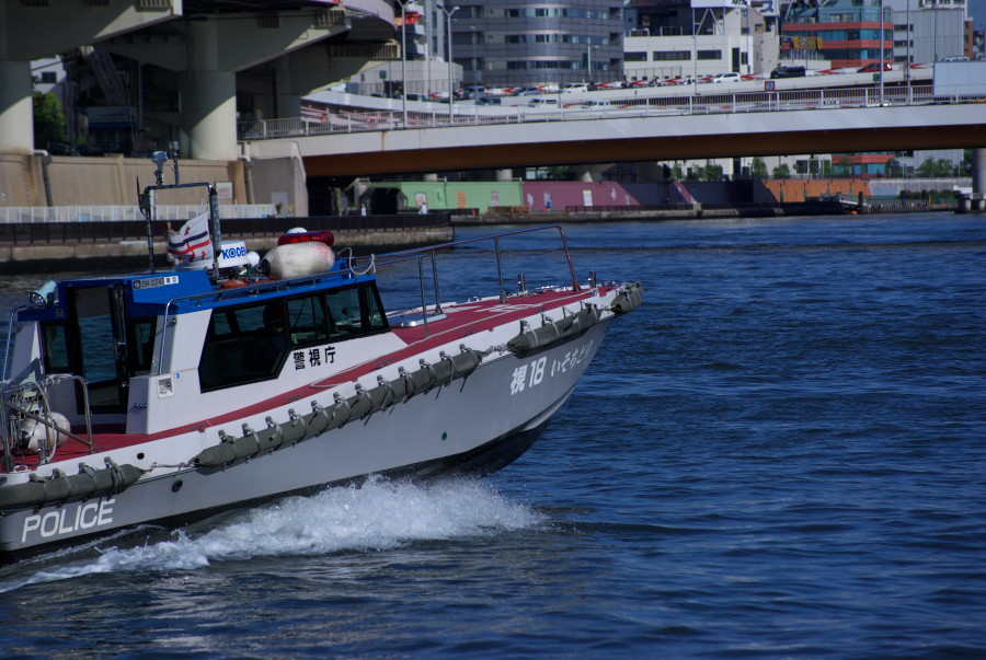 IMGP3500.jpg(173374 byte)