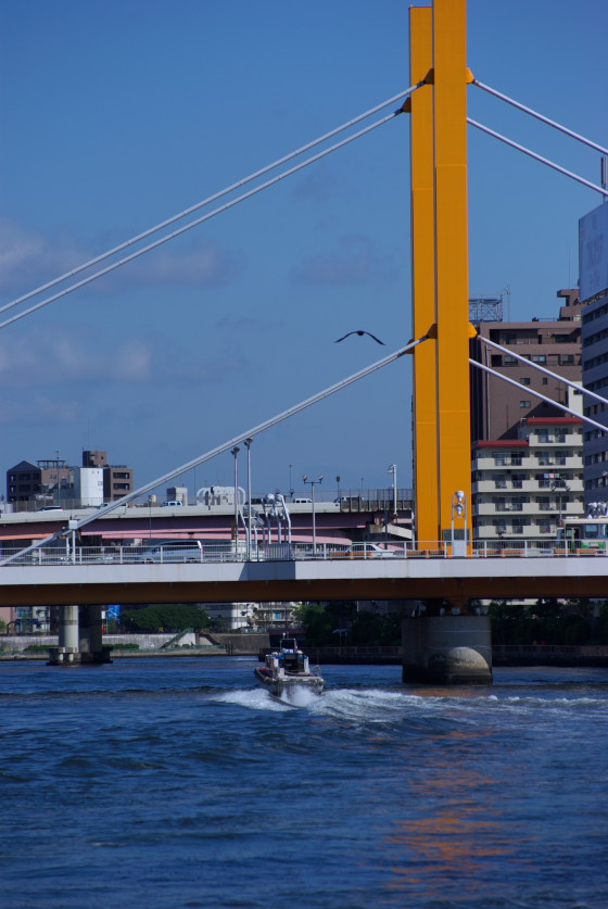 IMGP3501.jpg(105054 byte)