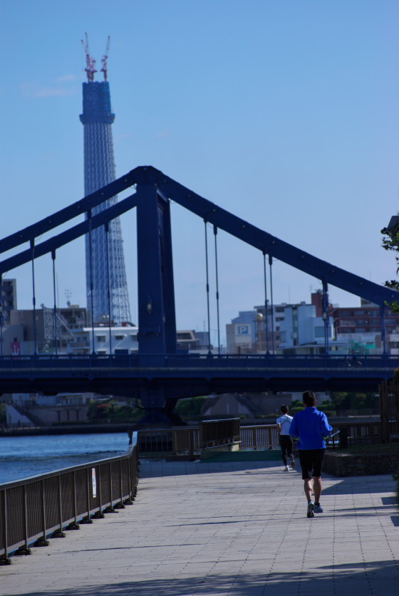 IMGP3515.jpg(88117 byte)