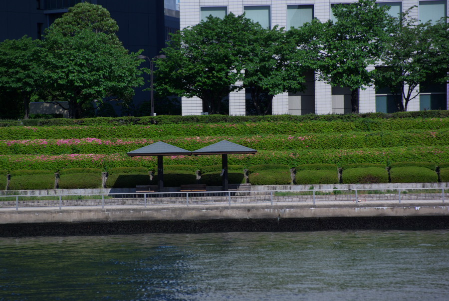 IMGP3530.jpg(219347 byte)