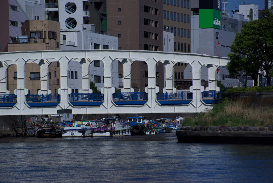 IMGP3533.jpg(172443 byte)