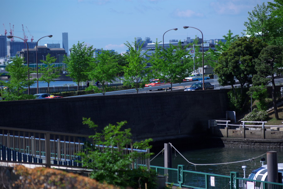 IMGP3541.jpg(175098 byte)