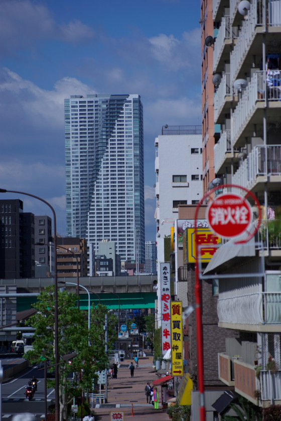 IMGP3544.jpg(143790 byte)