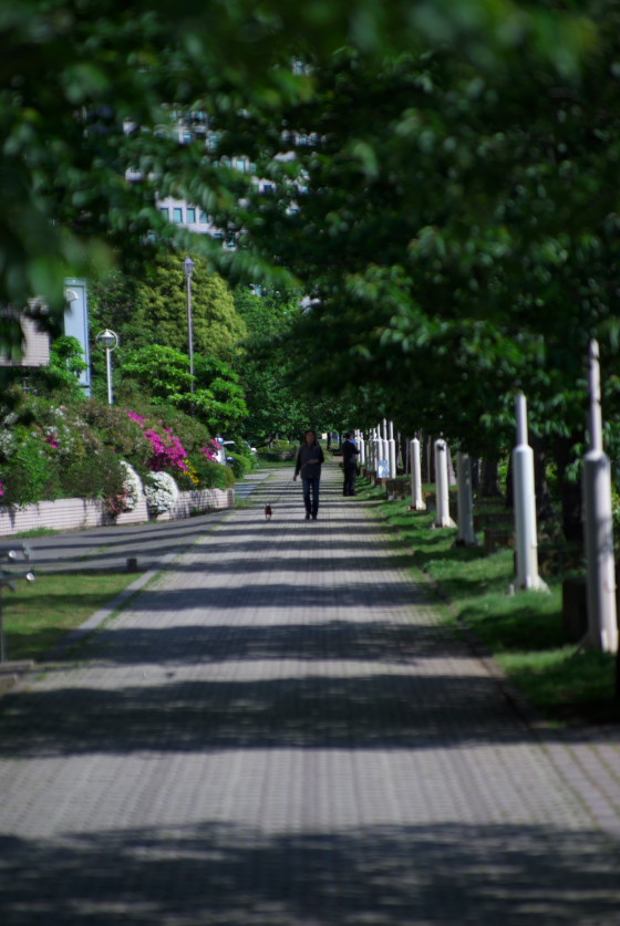 IMGP3546.jpg(117205 byte)