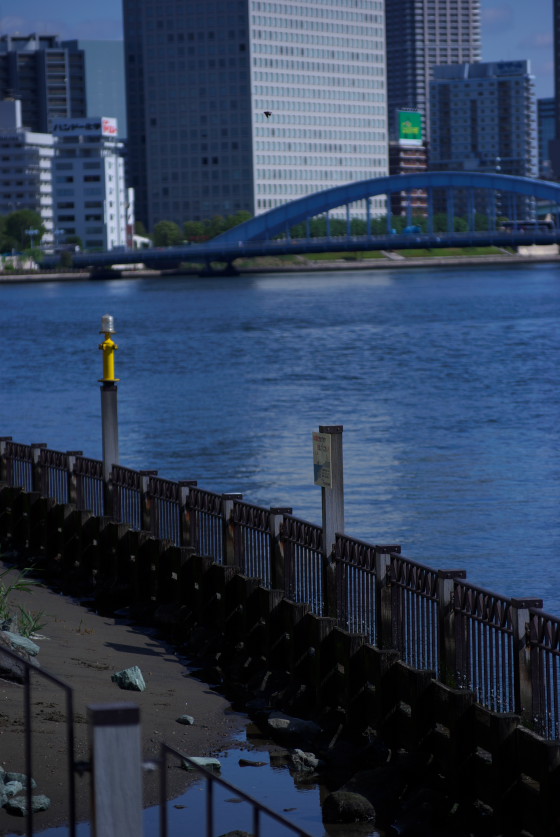 IMGP3553.jpg(109143 byte)