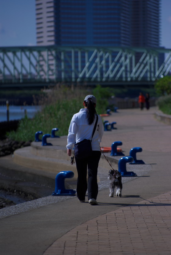 IMGP3567.jpg(84516 byte)