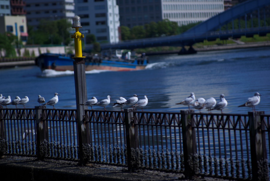 IMGP3575.jpg(138958 byte)