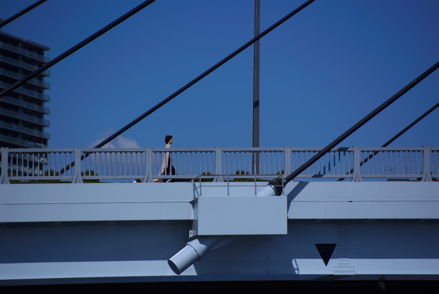 IMGP3586.jpg(78427 byte)