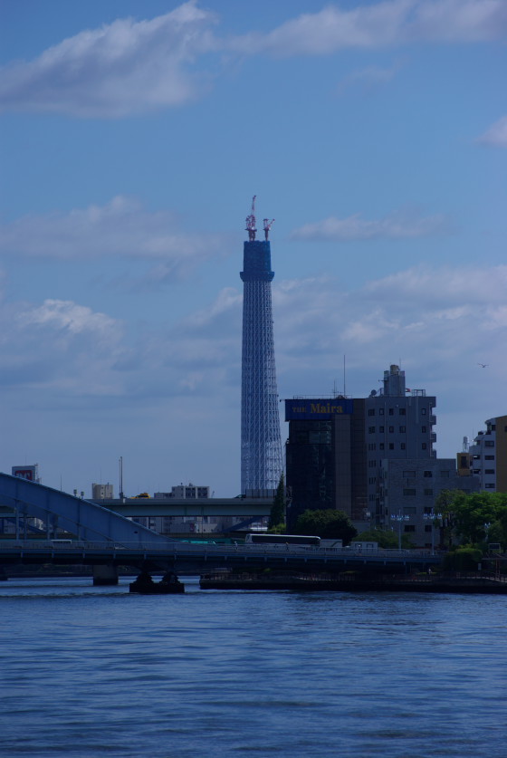 IMGP3587.jpg(73545 byte)