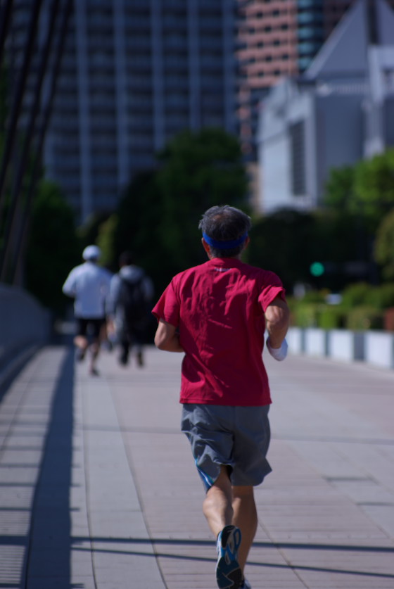 IMGP3595.jpg(67414 byte)