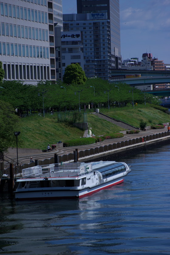 IMGP3597.jpg(142042 byte)