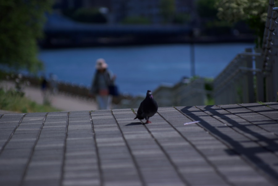 IMGP3603.jpg(66875 byte)