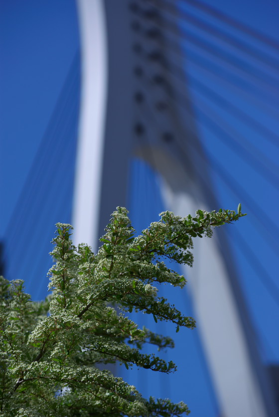 IMGP3606.jpg(101702 byte)