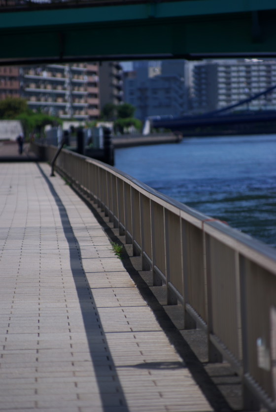 IMGP3625.jpg(80354 byte)