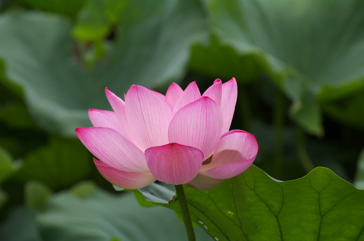 IMGP0034.jpg(107412 byte)