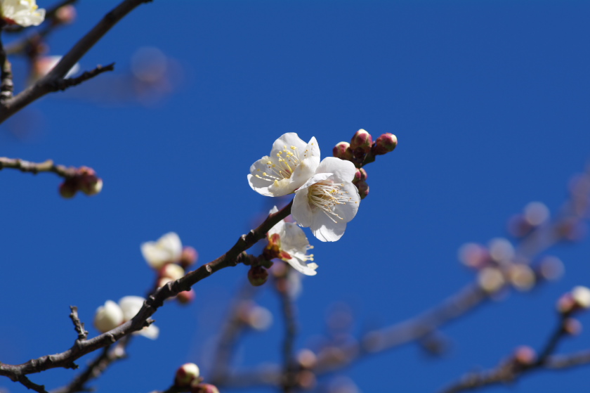 IMGP0004.jpg(135432 byte)