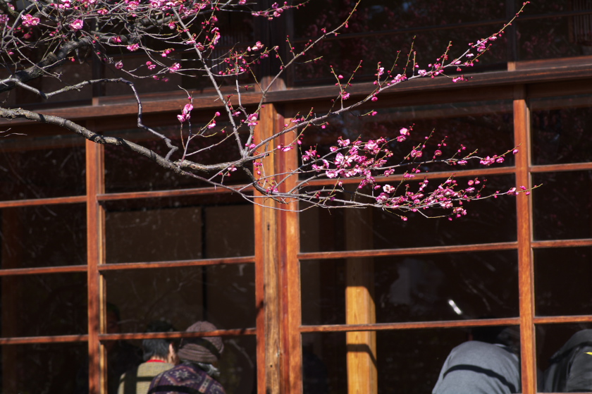 IMGP0012.jpg(281173 byte)