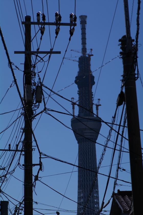 IMGP0046.jpg(242877 byte)