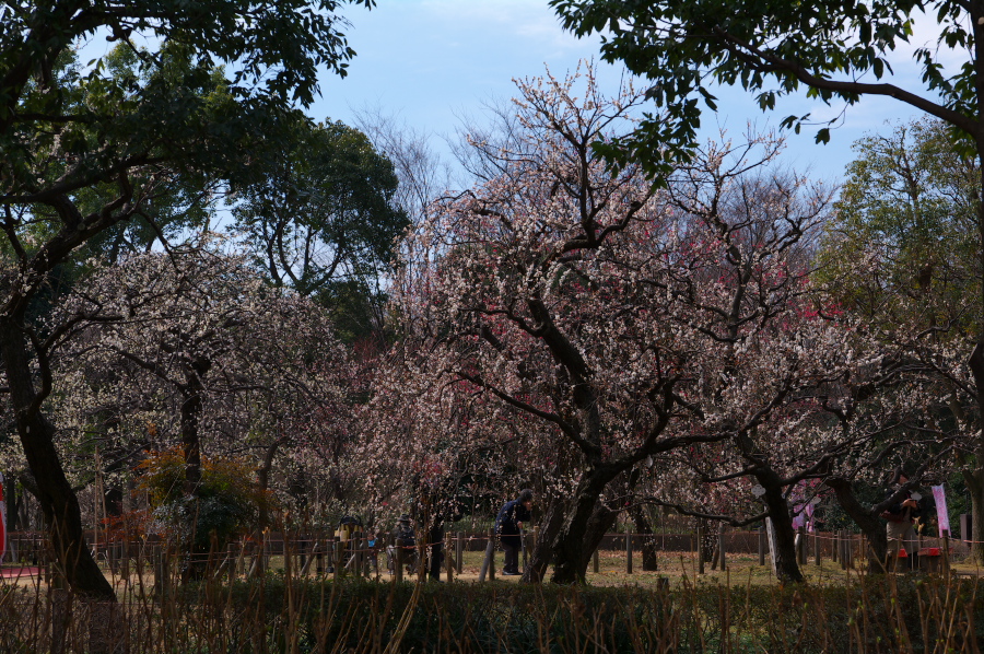 IMGP0008.jpg(557905 byte)