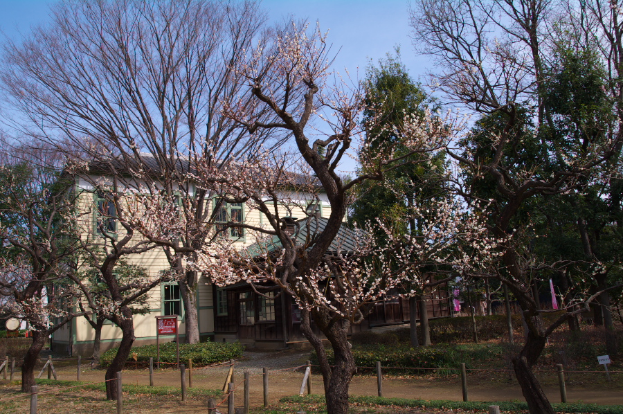 IMGP0013.jpg(594384 byte)