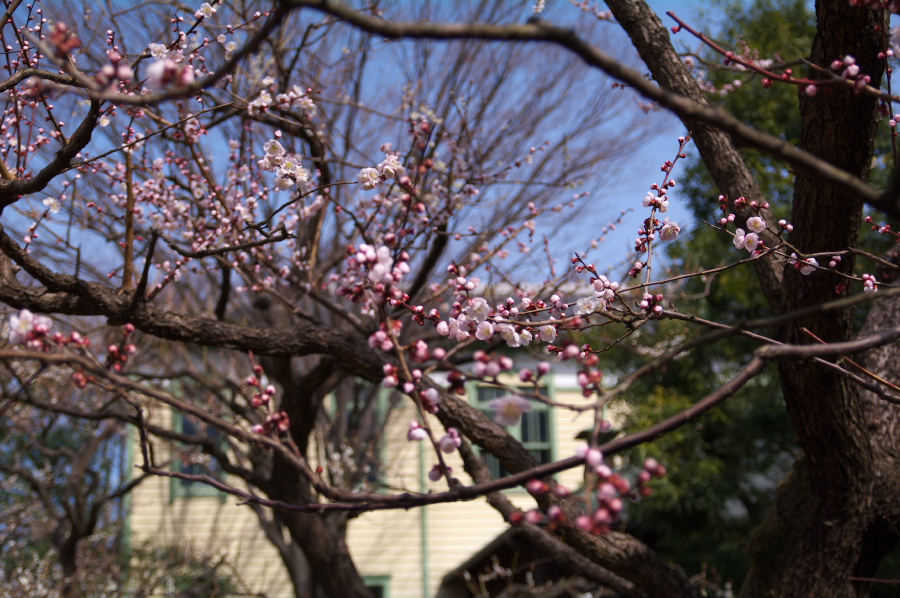 IMGP0019.jpg(391461 byte)